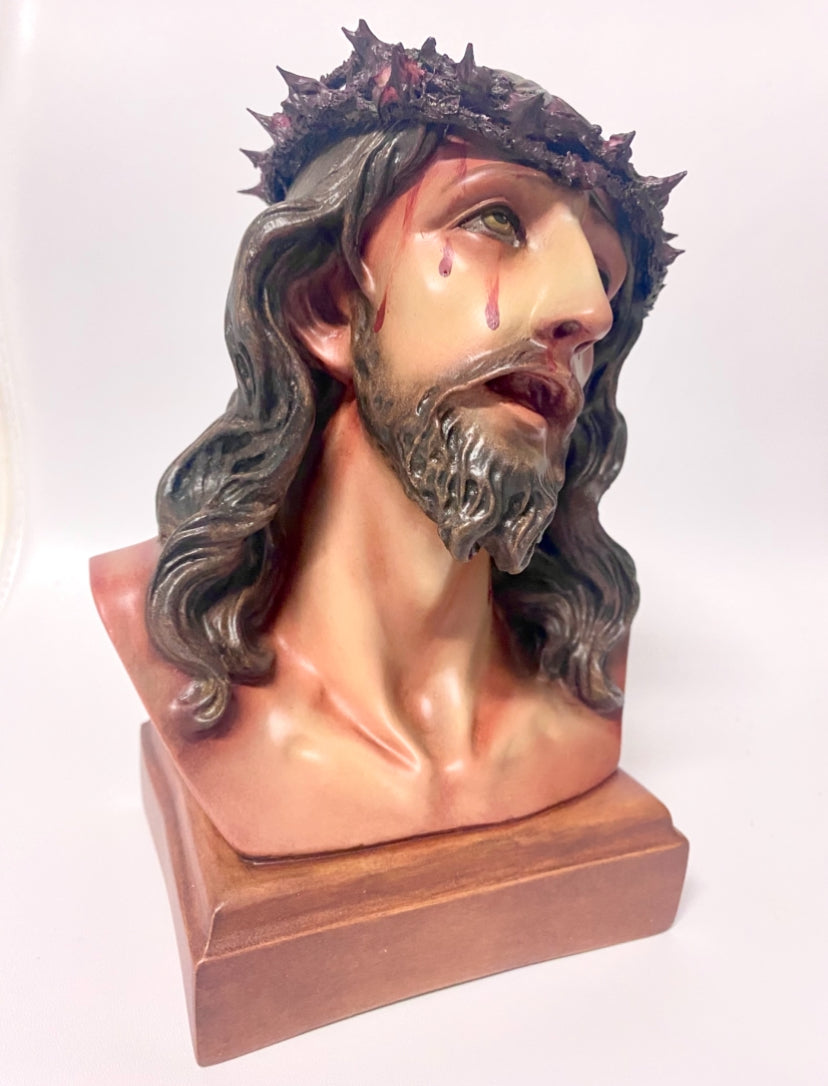 Holy Face of Jesus 8"