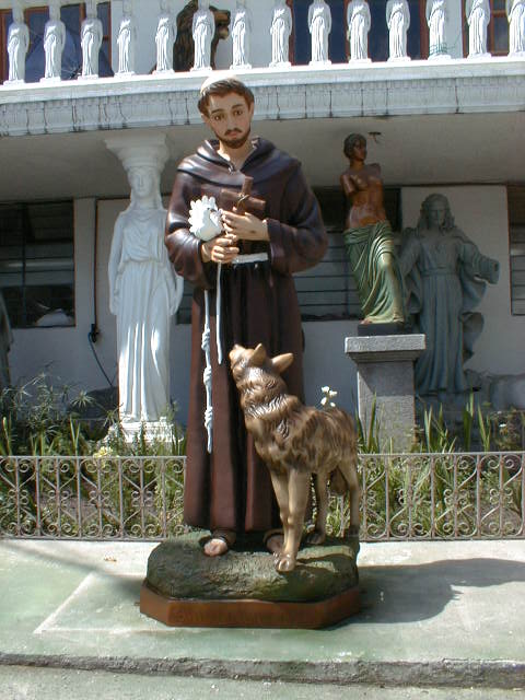 ST. FRANCIS 79″ WITH WOLF