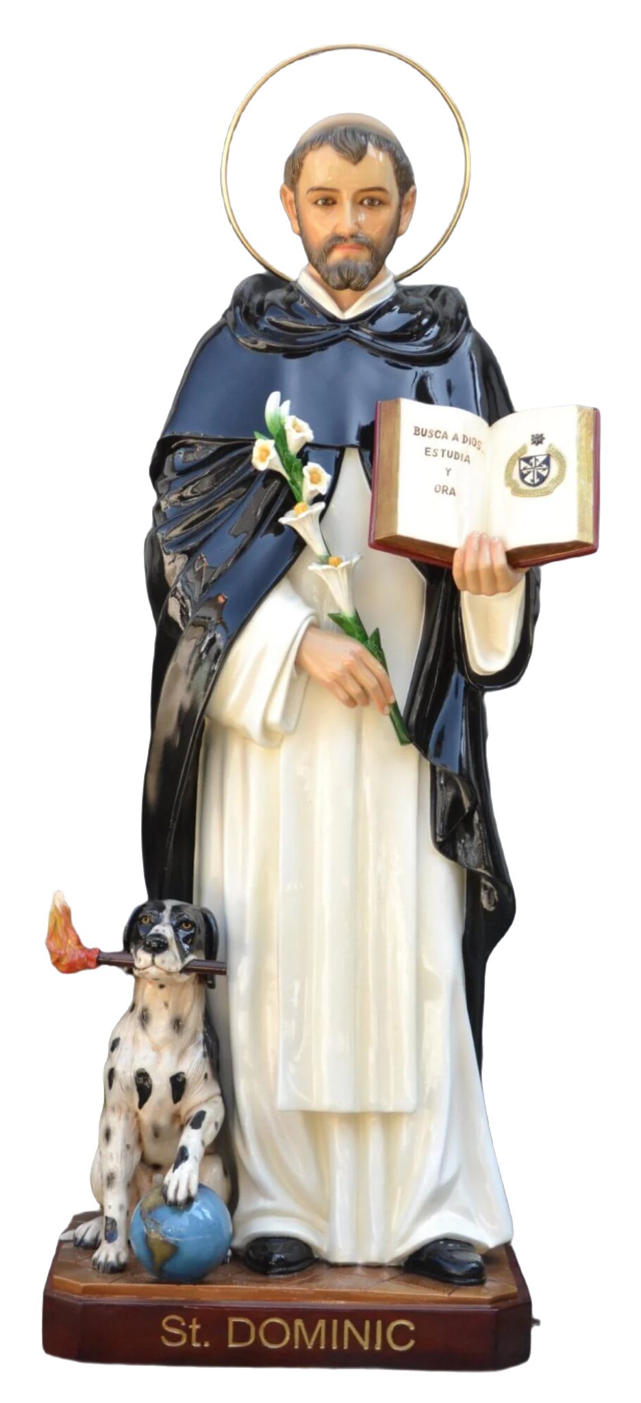 St. Dominick 50"